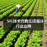 碳化硅技术:从实验室到全球应用的跨越式发展 碳化硅技术:从实验室到全球应用的跨越式发展
