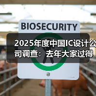 2024中国IC设计公司如何突围?出货量、AI机遇与海外扩张全解析 2024中国IC设计公司如何突围?出货量、AI机遇与海外扩张全解析