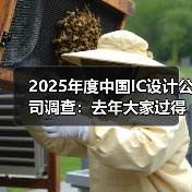2024中国IC设计公司如何突围?出货量、AI机遇与海外扩张全解析 2024中国IC设计公司如何突围?出货量、AI机遇与海外扩张全解析
