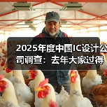 2024中国IC设计公司如何突围?出货量、AI机遇与海外扩张全解析 2024中国IC设计公司如何突围?出货量、AI机遇与海外扩张全解析