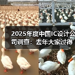 2024中国IC设计公司如何突围?出货量、AI机遇与海外扩张全解析 2024中国IC设计公司如何突围?出货量、AI机遇与海外扩张全解析