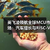 英飞凌领航全球MCU市场:汽车增长与RISC-V战略驱动 英飞凌领航全球MCU市场:汽车增长与RISC-V战略驱动