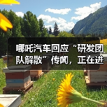 哪吒汽车研发团队真的解散了吗?人员优化引发行业关注 哪吒汽车研发团队真的解散了吗?人员优化引发行业关注