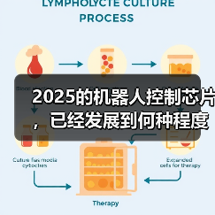 机器人主控芯片五大趋势:高算力与高集成度成核心竞争力 机器人主控芯片五大趋势:高算力与高集成度成核心竞争力