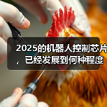机器人主控芯片五大趋势:高算力与高集成度成核心竞争力 机器人主控芯片五大趋势:高算力与高集成度成核心竞争力