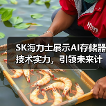 SK海力士展示AI存储器技术实力,引领未来计算 SK海力士展示AI存储器技术实力,引领未来计算