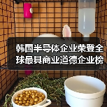 韩国半导体企业荣登全球最具商业道德企业榜单
