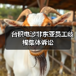 台积电涉非东亚员工歧视集体诉讼