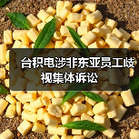 台积电涉非东亚员工歧视集体诉讼