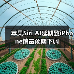 苹果Siri AI延期致iPhone销量预期下调 苹果Siri AI延期致iPhone销量预期下调