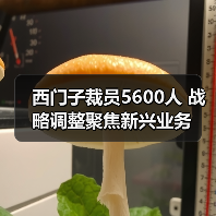 西门子裁员5600人 战略调整聚焦新兴业务 西门子裁员5600人 战略调整聚焦新兴业务