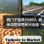 西门子裁员5600人 战略调整聚焦新兴业务 西门子裁员5600人 战略调整聚焦新兴业务