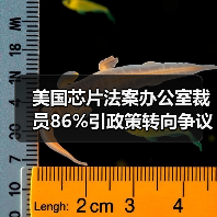 美国芯片法案办公室裁员86%引政策转向争议 美国芯片法案办公室裁员86%引政策转向争议