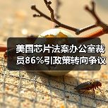 美国芯片法案办公室裁员86%引政策转向争议 美国芯片法案办公室裁员86%引政策转向争议