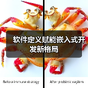 软件定义赋能嵌入式开发新格局