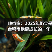 魏哲家:2025年仍会是台积电稳健成长的一年 魏哲家:2025年仍会是台积电稳健成长的一年