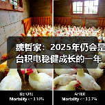 魏哲家:2025年仍会是台积电稳健成长的一年 魏哲家:2025年仍会是台积电稳健成长的一年