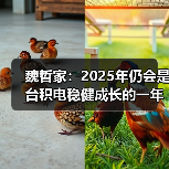 魏哲家:2025年仍会是台积电稳健成长的一年 魏哲家:2025年仍会是台积电稳健成长的一年
