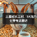 三星延长工时,SK海力士等考虑跟进 三星延长工时,SK海力士等考虑跟进