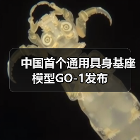 中国首个通用具身基座模型GO-1发布