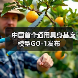 中国首个通用具身基座模型GO-1发布