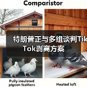 特朗普正与多组谈判TikTok剥离方案 特朗普正与多组谈判TikTok剥离方案
