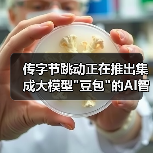 传字节跳动正在推出集成大模型"豆包"的AI智能眼镜 传字节跳动正在推出集成大模型"豆包"的AI智能眼镜