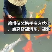 德州仪器携手多方伙伴,点亮智能汽车、能源、工业新未来 德州仪器携手多方伙伴,点亮智能汽车、能源、工业新未来