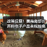 政策反复!美商务部长声称电子产品关税豁免是“暂时性的” 政策反复!美商务部长声称电子产品关税豁免是“暂时性的”