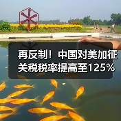 再反制!中国对美加征关税税率提高至125%! 再反制!中国对美加征关税税率提高至125%!