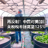 再反制!中国对美加征关税税率提高至125%! 再反制!中国对美加征关税税率提高至125%!