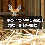 中微半导体尹志尧放弃美籍,恢复中国籍 中微半导体尹志尧放弃美籍,恢复中国籍