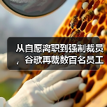 从自愿离职到强制裁员，谷歌再裁数百名员工