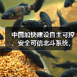 中国加快建设自主可控、安全可信北斗系统，利好北斗导航概念股