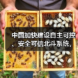 中国加快建设自主可控、安全可信北斗系统，利好北斗导航概念股