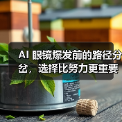 AI 眼镜爆发前的路径分岔,选择比努力更重要 AI 眼镜爆发前的路径分岔,选择比努力更重要