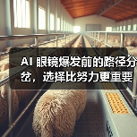 AI 眼镜爆发前的路径分岔,选择比努力更重要 AI 眼镜爆发前的路径分岔,选择比努力更重要