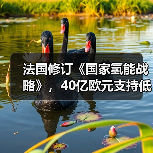 法国修订《国家氢能战略》,40亿欧元支持低碳氢能发展 法国修订《国家氢能战略》,40亿欧元支持低碳氢能发展