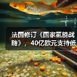 法国修订《国家氢能战略》,40亿欧元支持低碳氢能发展 法国修订《国家氢能战略》,40亿欧元支持低碳氢能发展