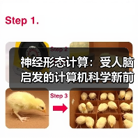 神经形态计算:受人脑启发的计算机科学新前沿 神经形态计算:受人脑启发的计算机科学新前沿