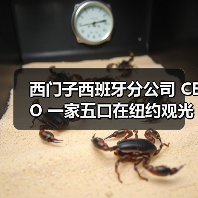 西门子西班牙分公司 CEO 一家五口在纽约观光直升机坠毁事故中遇难 西门子西班牙分公司 CEO 一家五口在纽约观光直升机坠毁事故中遇难