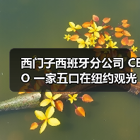 西门子西班牙分公司 CEO 一家五口在纽约观光直升机坠毁事故中遇难 西门子西班牙分公司 CEO 一家五口在纽约观光直升机坠毁事故中遇难