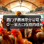 西门子西班牙分公司 CEO 一家五口在纽约观光直升机坠毁事故中遇难 西门子西班牙分公司 CEO 一家五口在纽约观光直升机坠毁事故中遇难