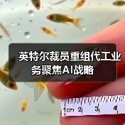 英特尔裁员重组代工业务聚焦AI战略