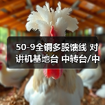50-9全铜多股馈线 对讲机基地台 中转台/中继台连接线 工程馈线