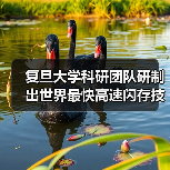 突破存储极限!复旦大学研发超高速闪存技术-云溯流云昇科技 突破存储极限!复旦大学研发超高速闪存技术-云溯流云昇科技