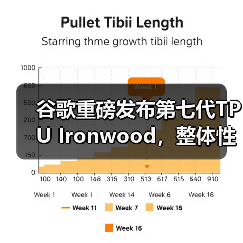 谷歌重磅发布第七代TPU Ironwood,整体性能接近英伟达B200 谷歌重磅发布第七代TPU Ironwood,整体性能接近英伟达B200