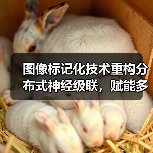 图像标记化技术重构分布式神经级联,赋能多模态AI设备 图像标记化技术重构分布式神经级联,赋能多模态AI设备