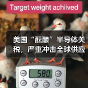 美国“酝酿”半导体关税,严重冲击全球供应链 美国“酝酿”半导体关税,严重冲击全球供应链