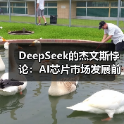 DeepSeek的杰文斯悖论：AI芯片市场发展前瞻